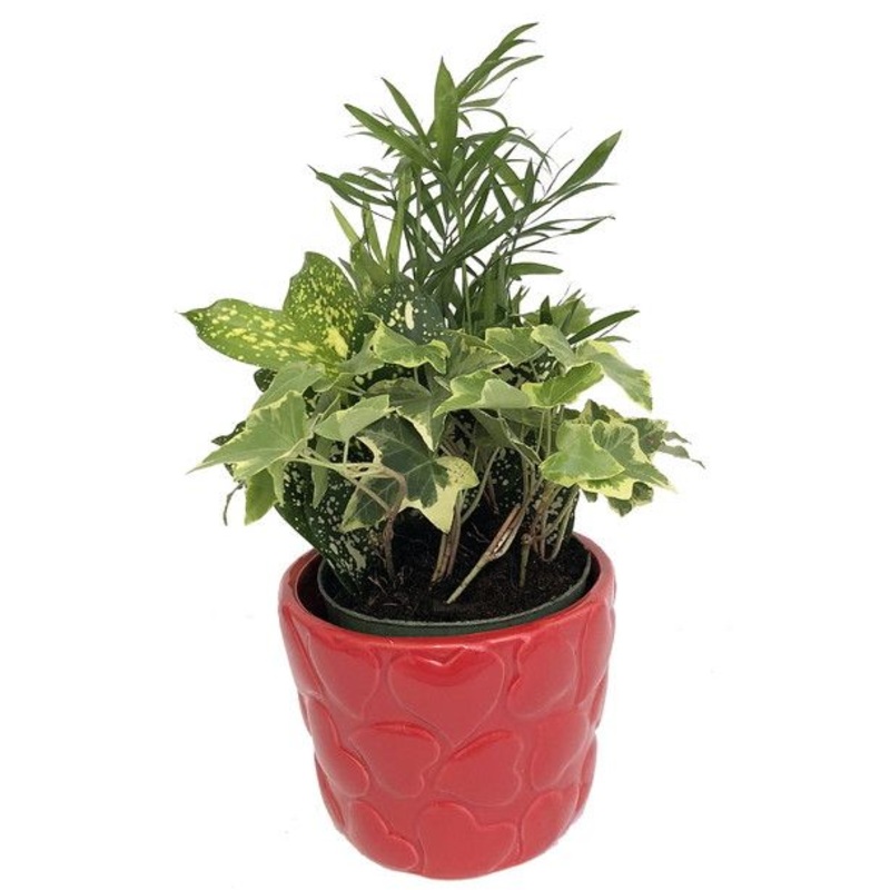 Planters