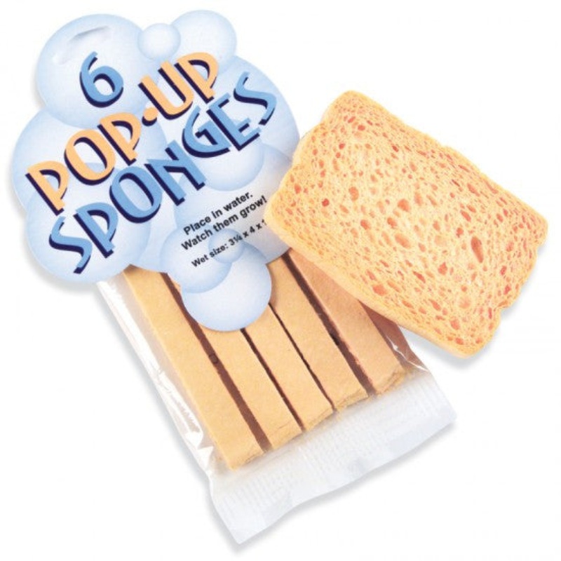 Pop up Sponge