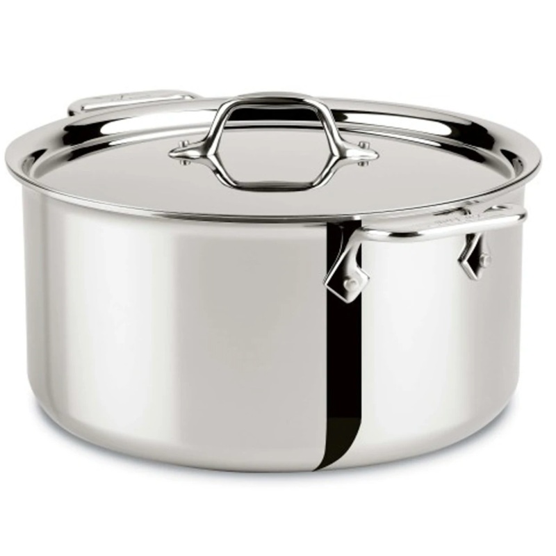 All-Clad  Stockpot with Lid