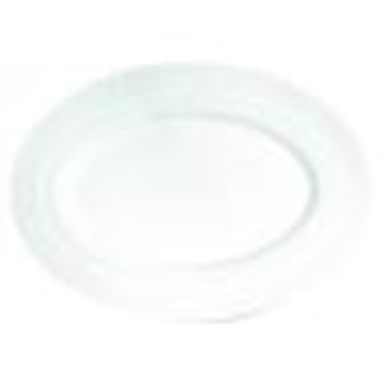 Fortessa Platters