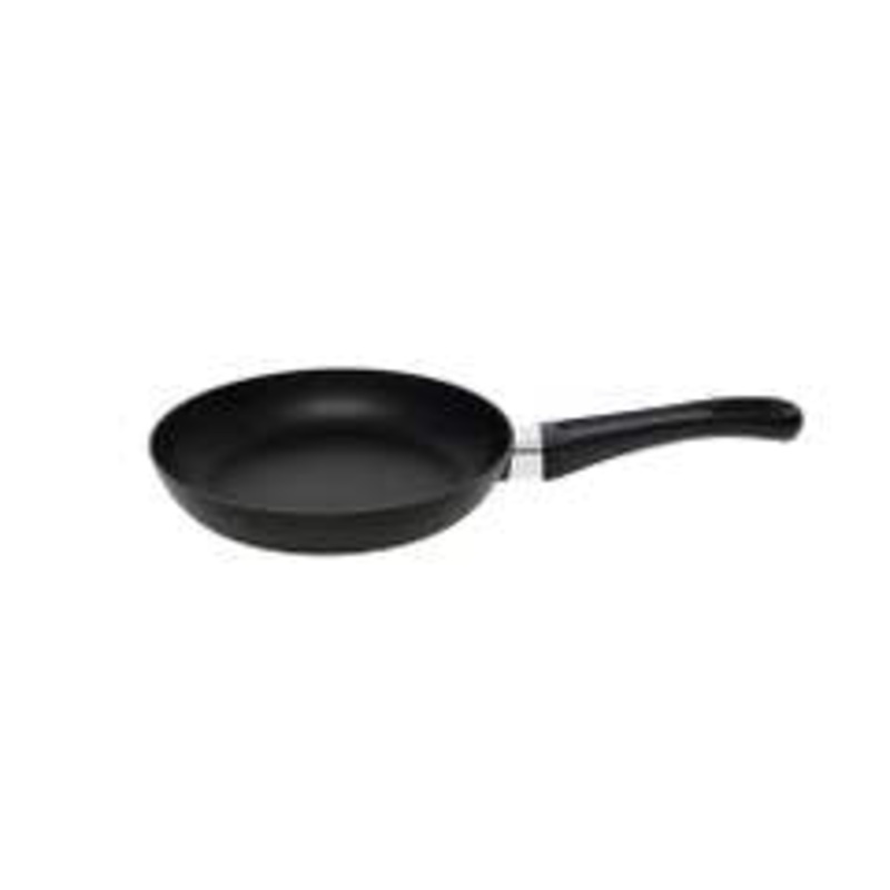 ScanPan