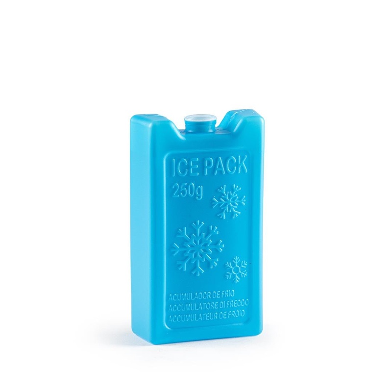 PLASTICFORTE Acumulator Freezer Ice Pack 250g, Blue