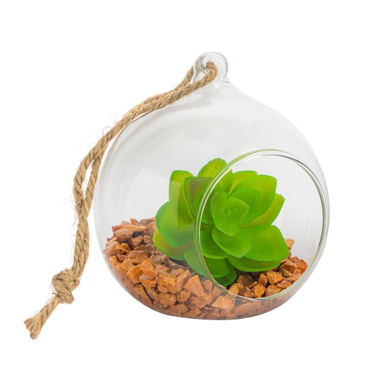 10cm Hanging Glass Succulent Terrarium