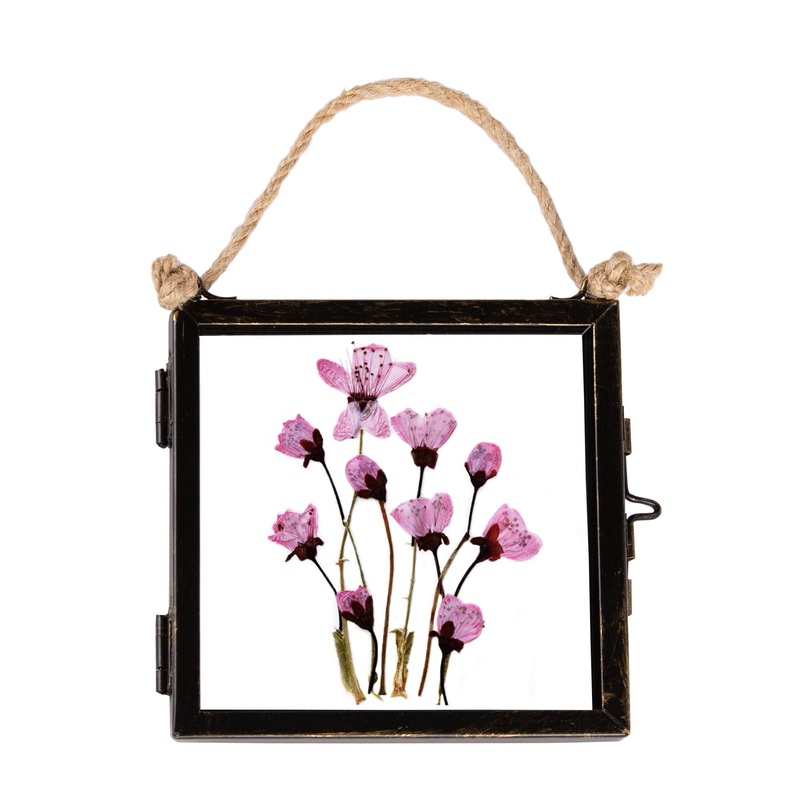 4" x 4" Black Hanging Metal Photo Frame