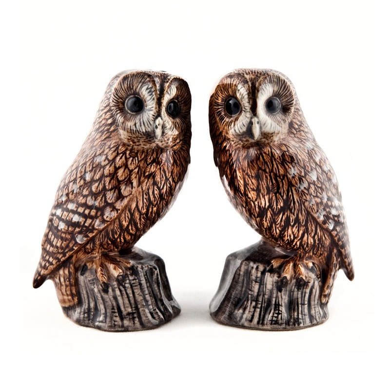 Tawny Owl Salt & Pepper Shaker Set