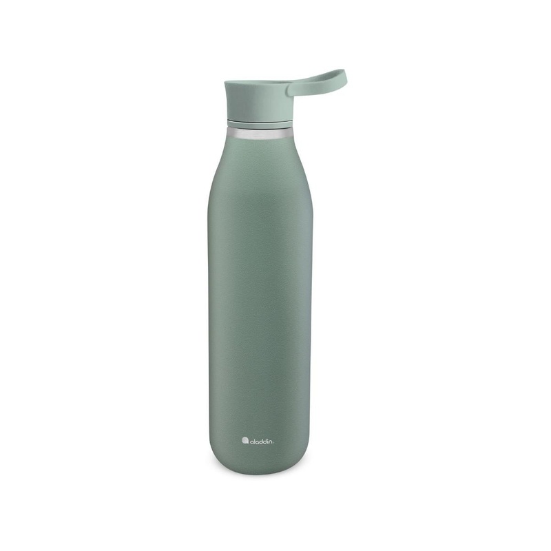 Aladdin Cityloop 600ml Insulated Bottle - Green