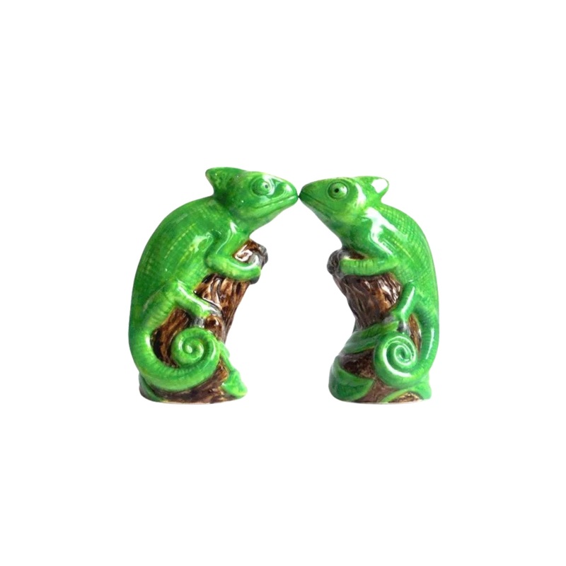 Chameleon Salt & Pepper Shaker Set
