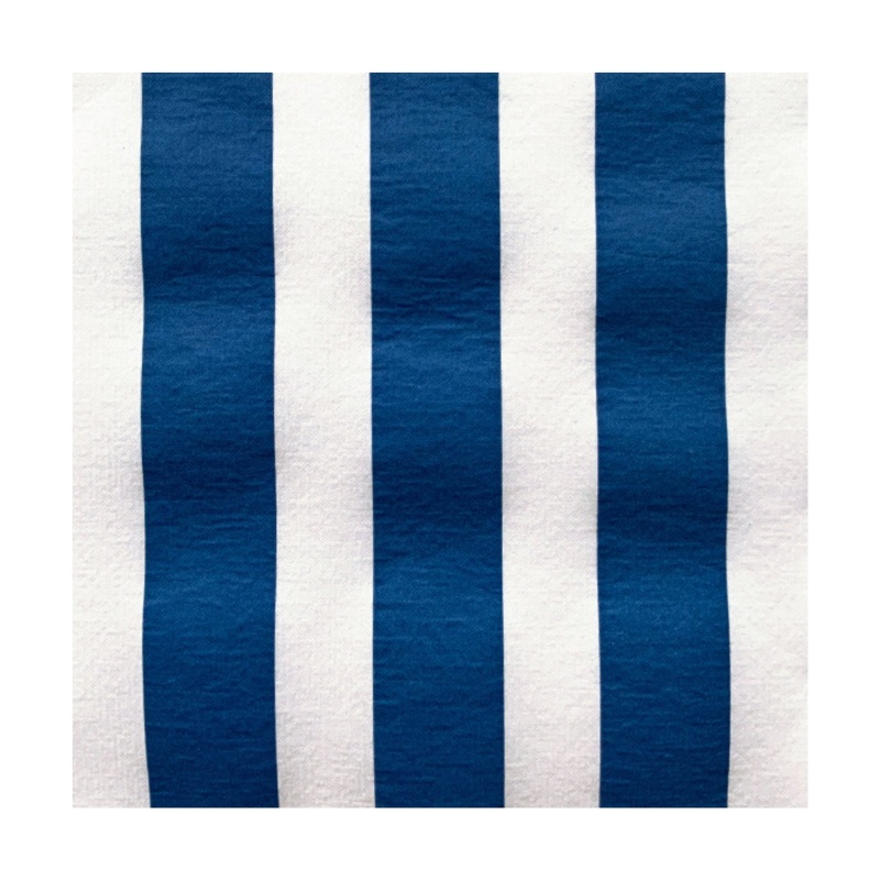 Francoise Paviot Dinner Napkins - Blue Stripe