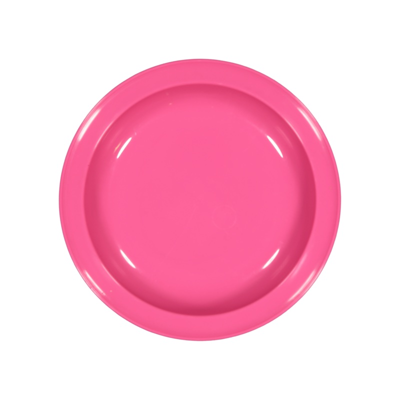Plastic Plate