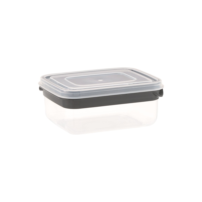 Medium Plastic Container